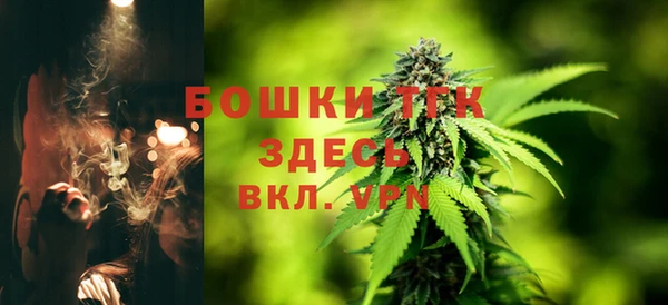 мет Ладушкин