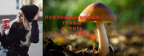 тгк Лагань