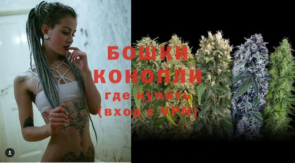 тгк Лагань