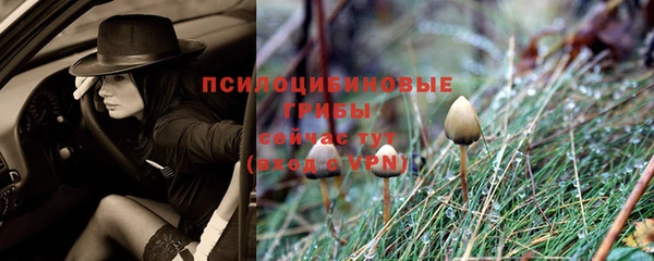 тгк Лагань