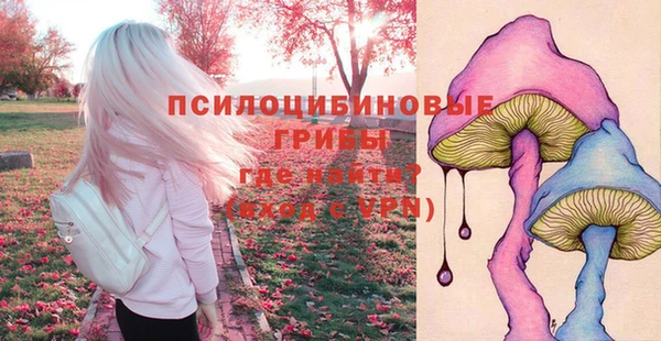 тгк Лагань