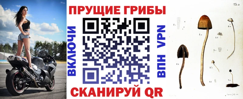 Псилоцибиновые грибы Magic Shrooms  как найти   Мелеуз 